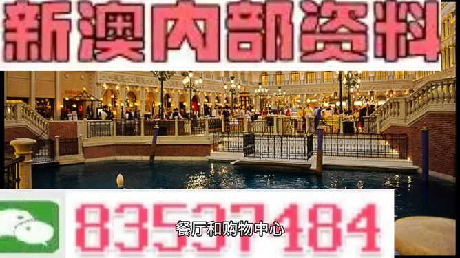 新門內(nèi)部資料精準(zhǔn)大全，新門內(nèi)部資料精準(zhǔn)大全揭秘