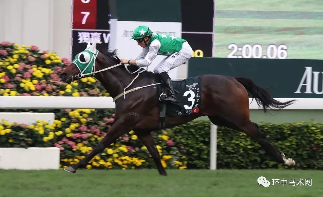 香港今晚開什么特馬，香港今晚特馬開獎結(jié)果