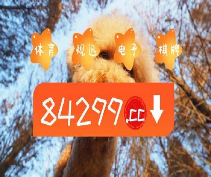 澳門天天免費精準大全——探索澳門的無盡魅力，澳門無盡魅力探索大全，天天免費精準指南