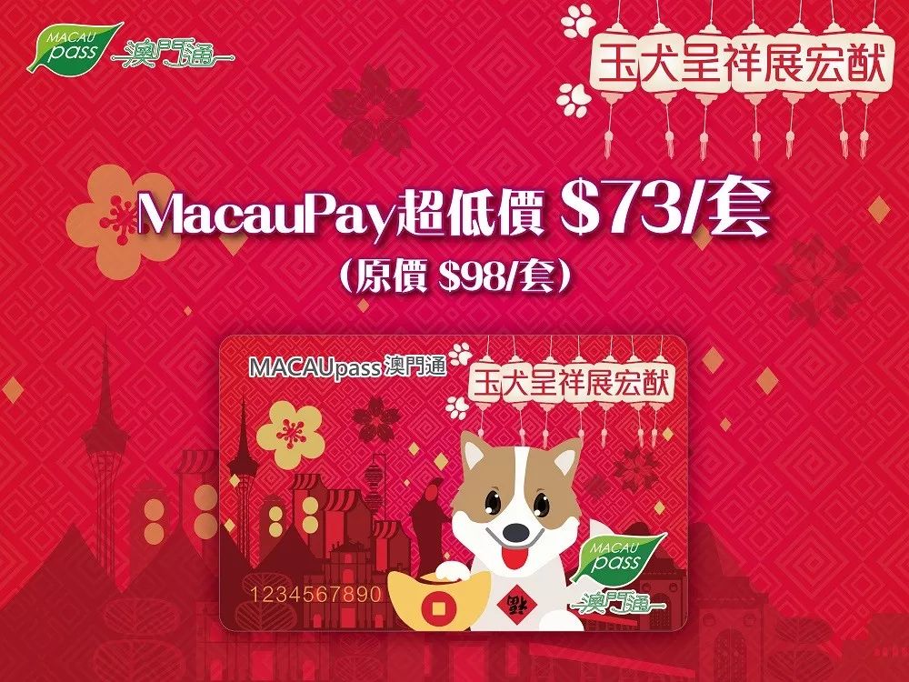 澳門正版資料大全資料生肖卡，澳門正版資料大全，生肖卡全收錄