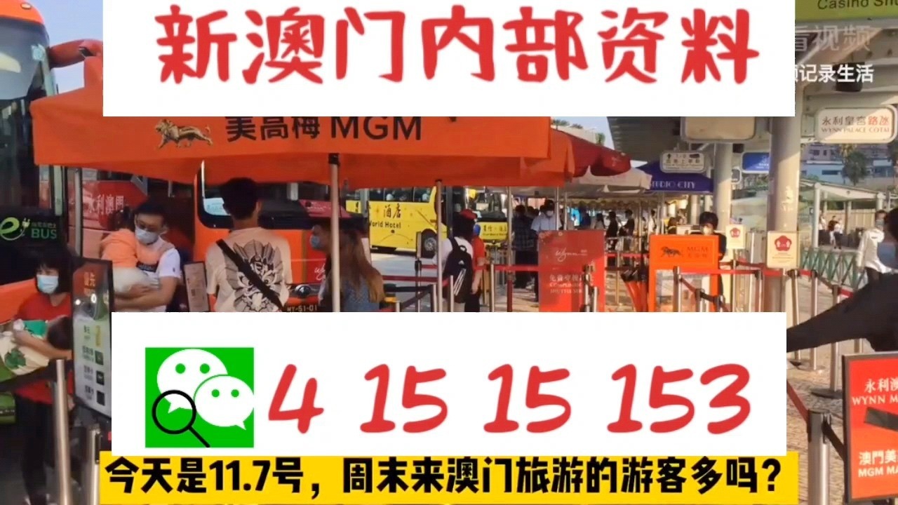 新澳門中特網中特馬，澳門中特馬最新資訊