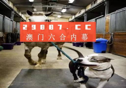 澳門一肖一碼一必中，同舟共濟(jì)共創(chuàng)輝煌，澳門一肖一碼精準(zhǔn)預(yù)測(cè)，同舟共濟(jì)共創(chuàng)輝煌未來