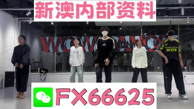 新澳門特免費大全，探索澳門的全新魅力，澳門全新魅力探索，新澳門特免費大全
