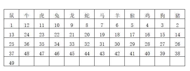 494949最快開獎結果 香港we，香港最快開獎結果 494949揭曉