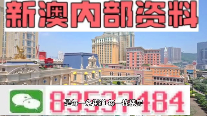 澳門最精準(zhǔn)正最精準(zhǔn)龍門，揭秘背后的秘密，澳門最精準(zhǔn)正龍門背后的秘密揭秘