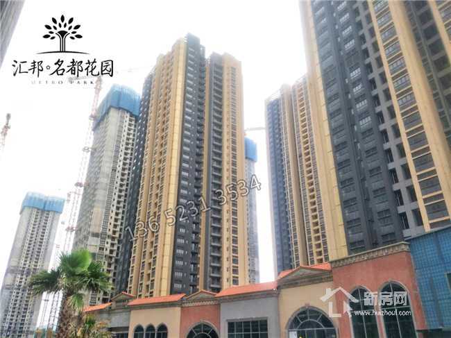 白小姐三期必出一肖種特，深度解析與預測，白小姐三期種特深度解析與預測，必出一肖揭秘！