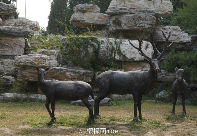 四不像資料免費(fèi)大全，四不像資料大全，免費(fèi)獲取，一網(wǎng)打盡