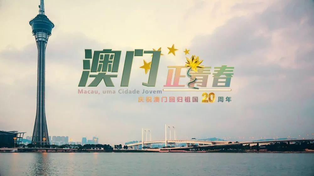 新奧門資料大全正版資料2025年免費(fèi)下載，澳門正版資料大全2025年免費(fèi)下載全新版