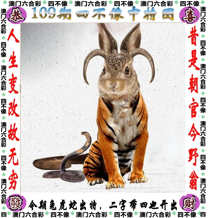 今晚必中一肖一碼四不像，揭秘彩票的神秘面紗，揭秘彩票神秘面紗，今晚必中一肖一碼四不像