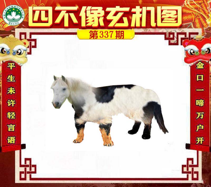 四不像今晚必中一肖