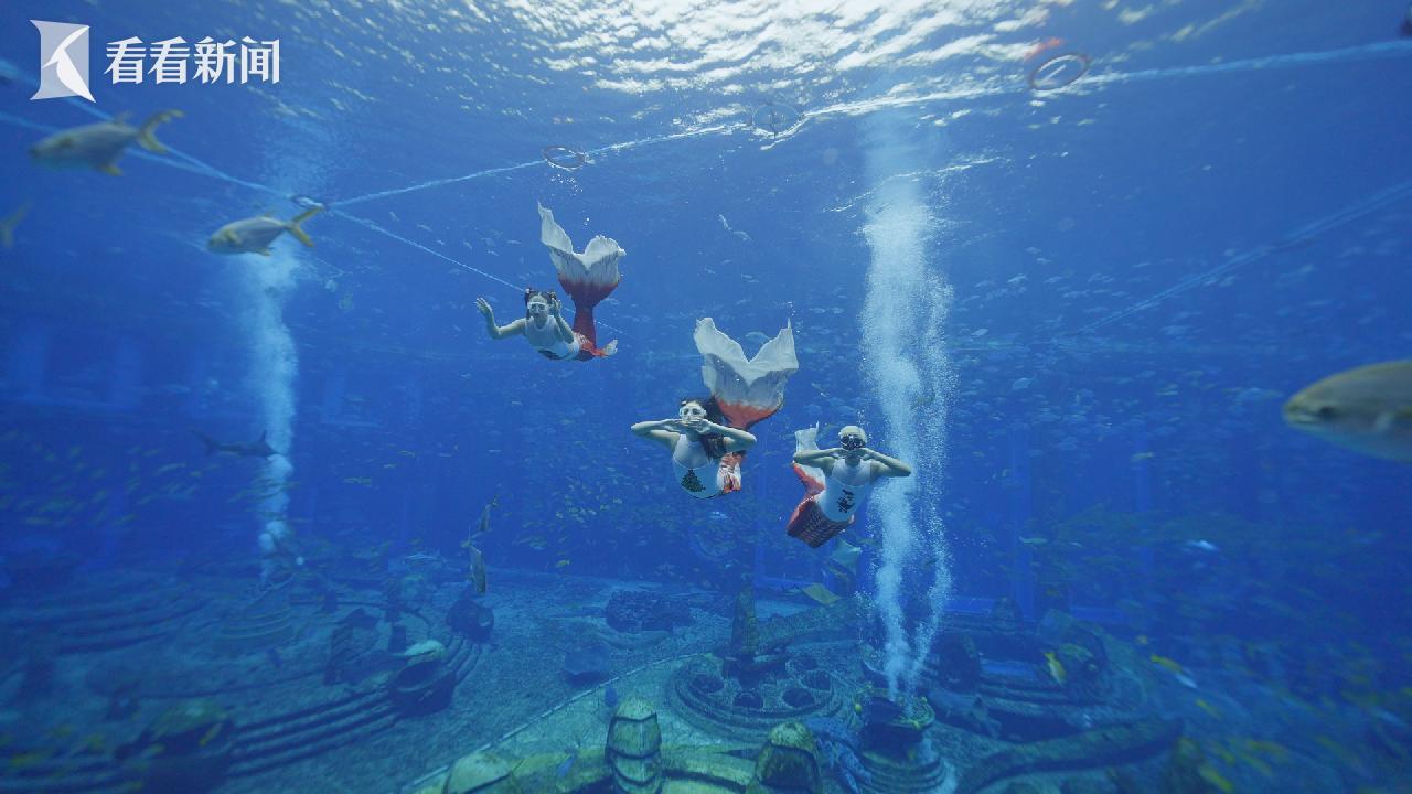 澳門美人魚，神秘魅力與傳奇故事，澳門神秘美人魚，魅力傳奇與故事探秘