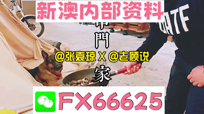 管家婆精準(zhǔn)資料免費(fèi)，管家婆精準(zhǔn)資料免費(fèi)公開
