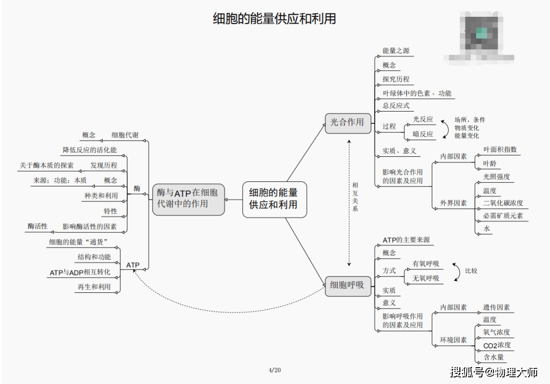 白小姐三期必出一肖種特，白小姐三期預(yù)測(cè)，神秘生肖種特揭曉