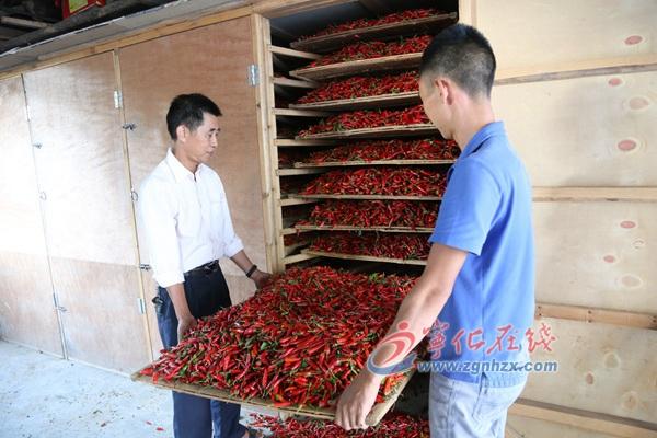 王中王王中王免費資料大全一一，王中王資料大全全免費獲取