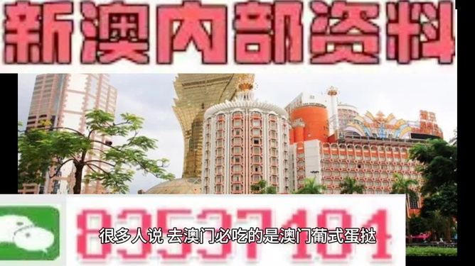 澳門免費公開資料最準(zhǔn)的資料，澳門最精準(zhǔn)免費公開資料大全