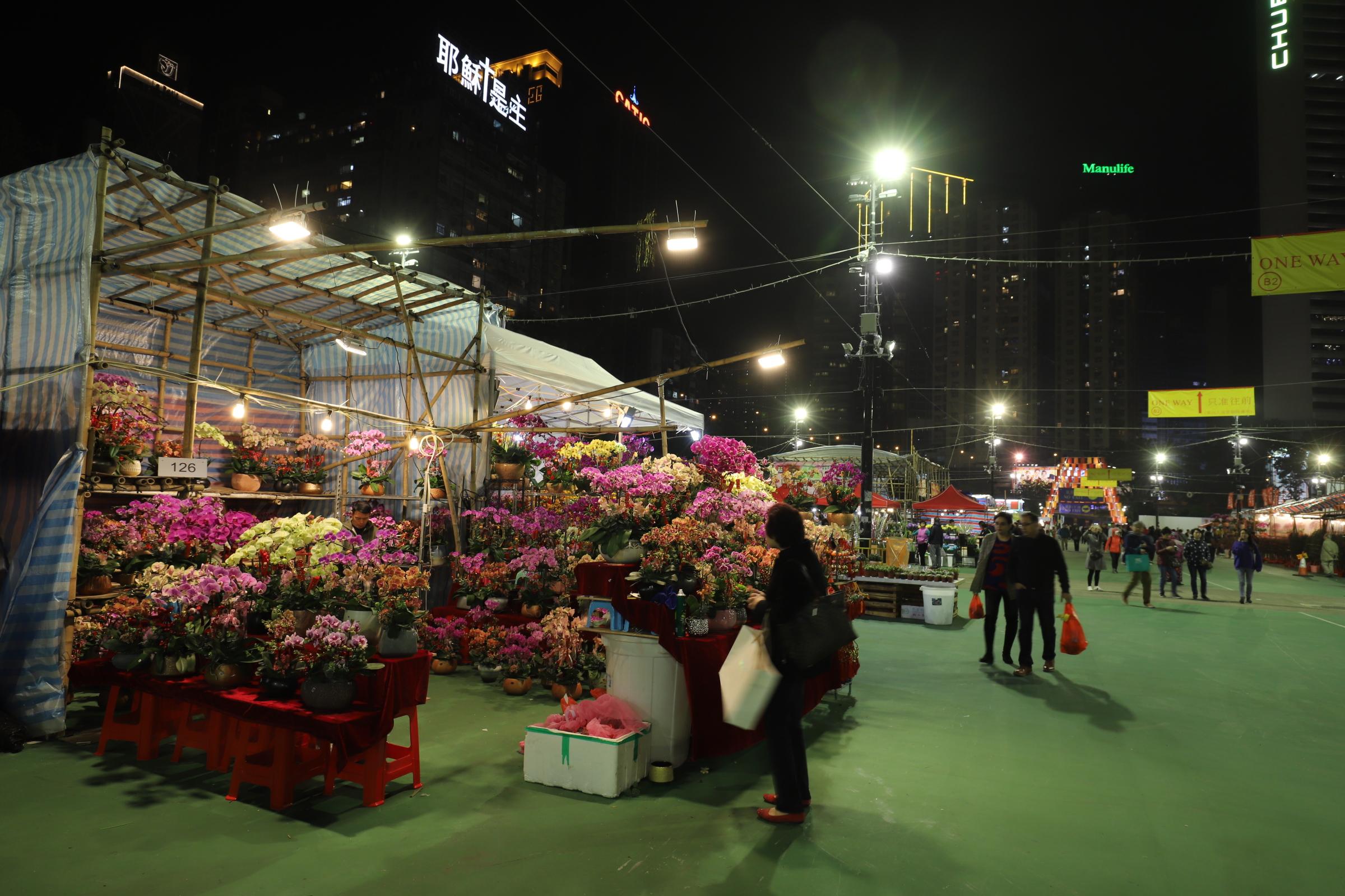 香港正版資料免費大全生肖表2025最新版，香港正版資料免費大全，2025最新版生肖表全解析