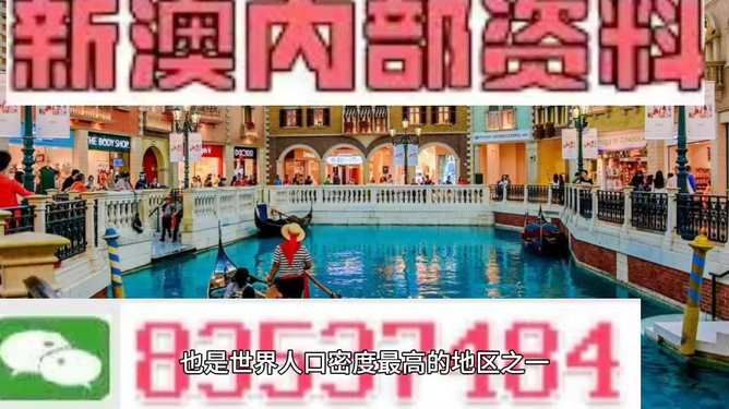 新澳門免費精準龍門客棧，揭秘管家婆的神秘面紗，揭秘新澳門龍門客棧的管家婆神秘面紗