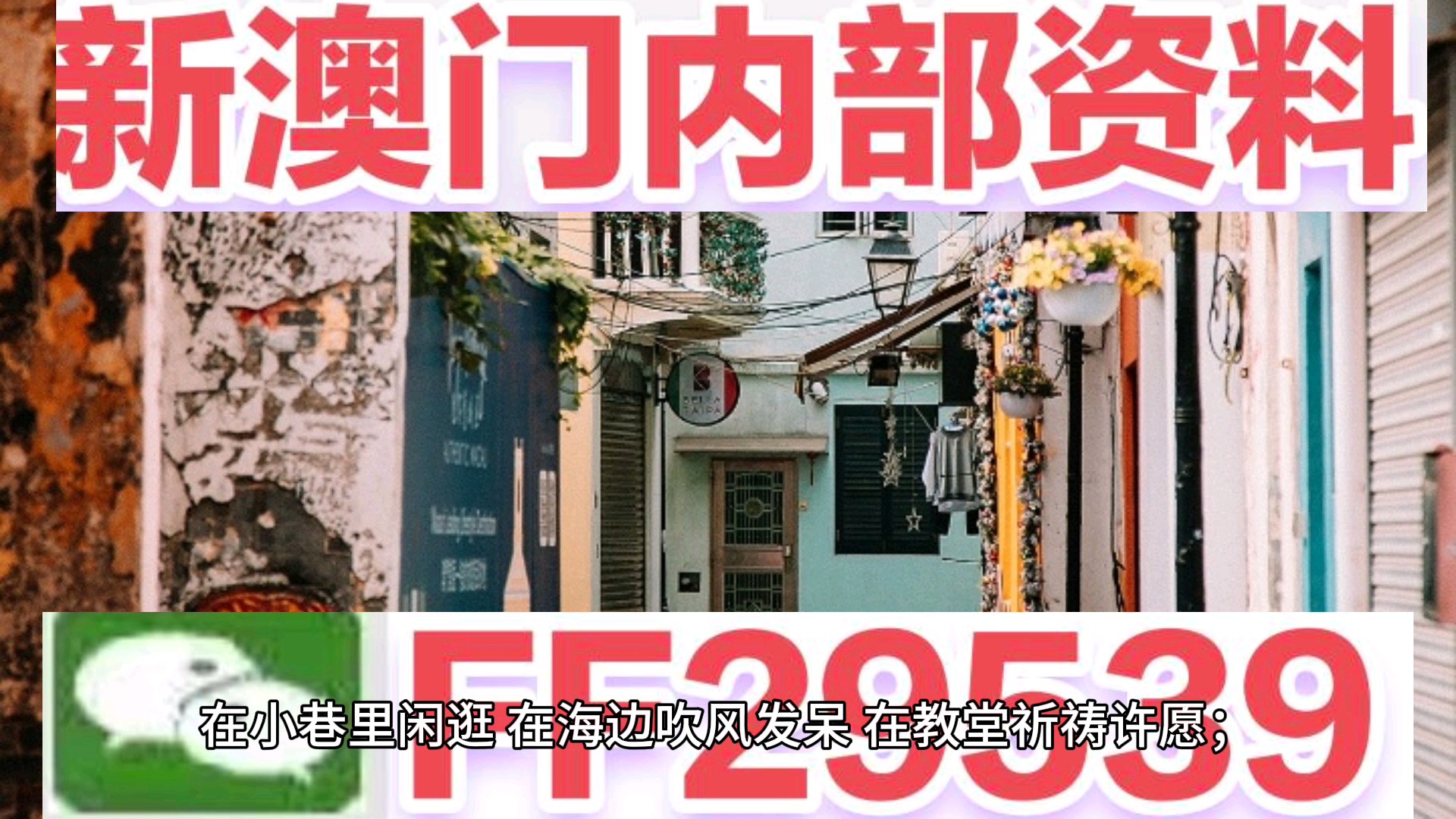 新澳門今晚開獎結(jié)果及開獎熱點(diǎn)解析，澳門今晚開獎結(jié)果及熱點(diǎn)解析速遞