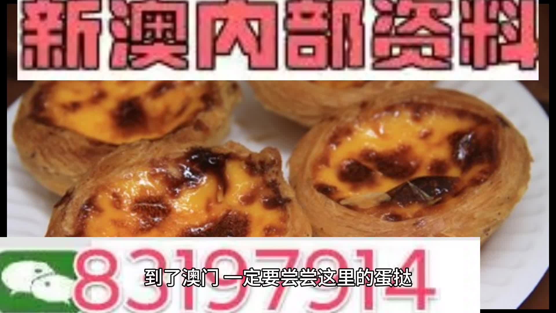 新澳門資料大全正版資料?奧利奧斗地主，澳門正版資料大全與奧利奧斗地主，一網(wǎng)打盡