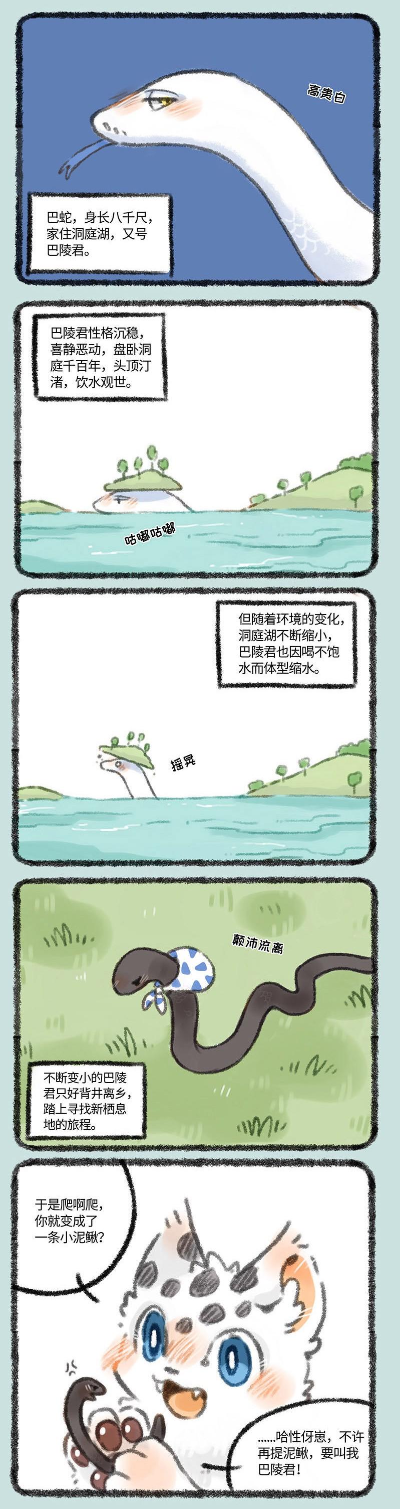 四不像正版 正版四不像，四不像正版書籍介紹，正版四不像書籍閱讀分享