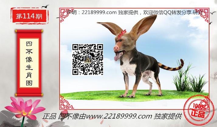 四不像正版資料，四不像正版資料詳解