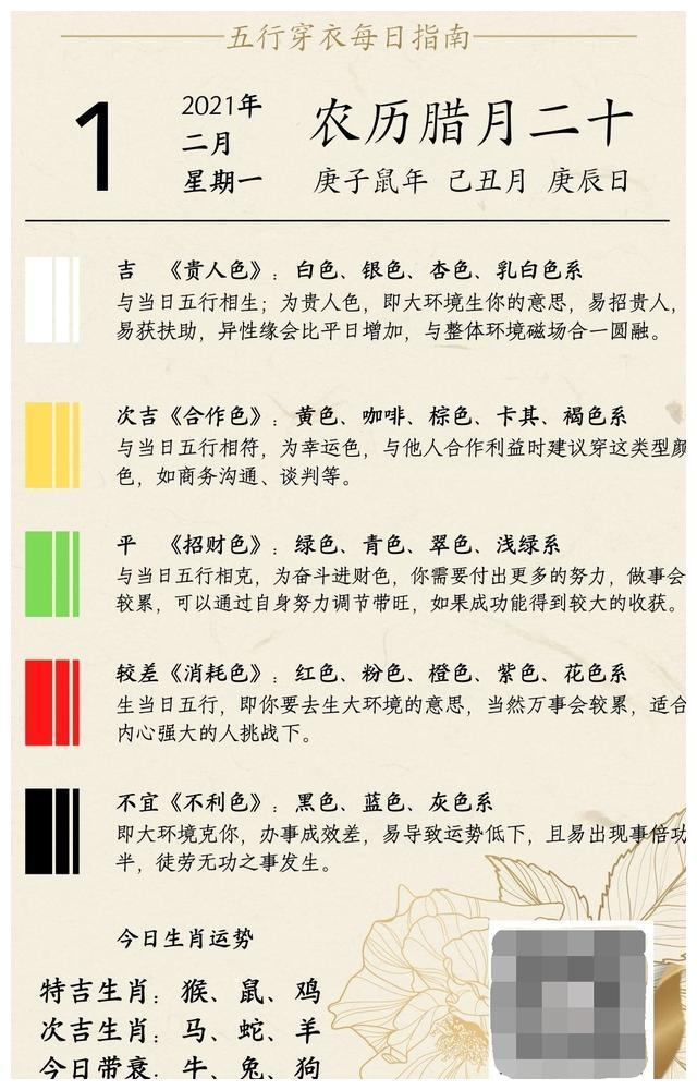 財神網3肖6碼必中論壇——揭秘彩票預測勝經，揭秘彩票預測勝經，財神網3肖6碼必中論壇獨家解析