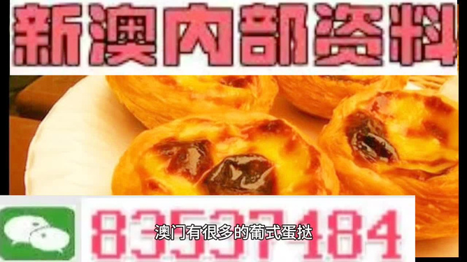 新澳今天最新資料，新澳今日最新資訊匯總