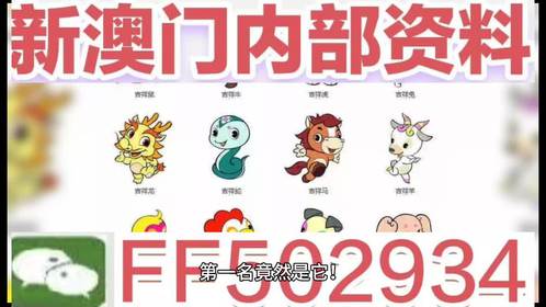 揭秘，2025新澳門今晚生肖開彩大揭秘，澳門生肖彩票揭秘，2025年今晚開獎大揭秘