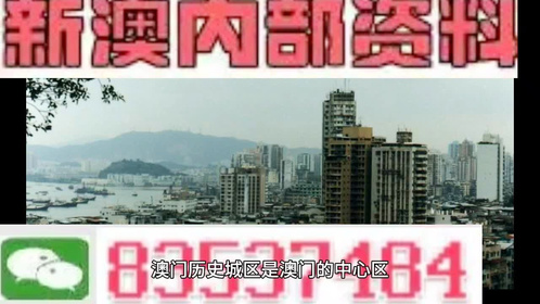 新澳門精準(zhǔn)四肖期期中特公開，深度解析與探討，澳門精準(zhǔn)四肖期期中特深度解析與探討揭秘