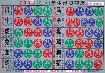 2025生肖49碼表圖片，2025年生肖49碼表圖片大全