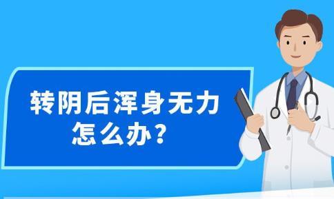 新澳精準資料提供網(wǎng)站及其可用軟件綜述，新澳精準資料提供網(wǎng)站與可用軟件概覽