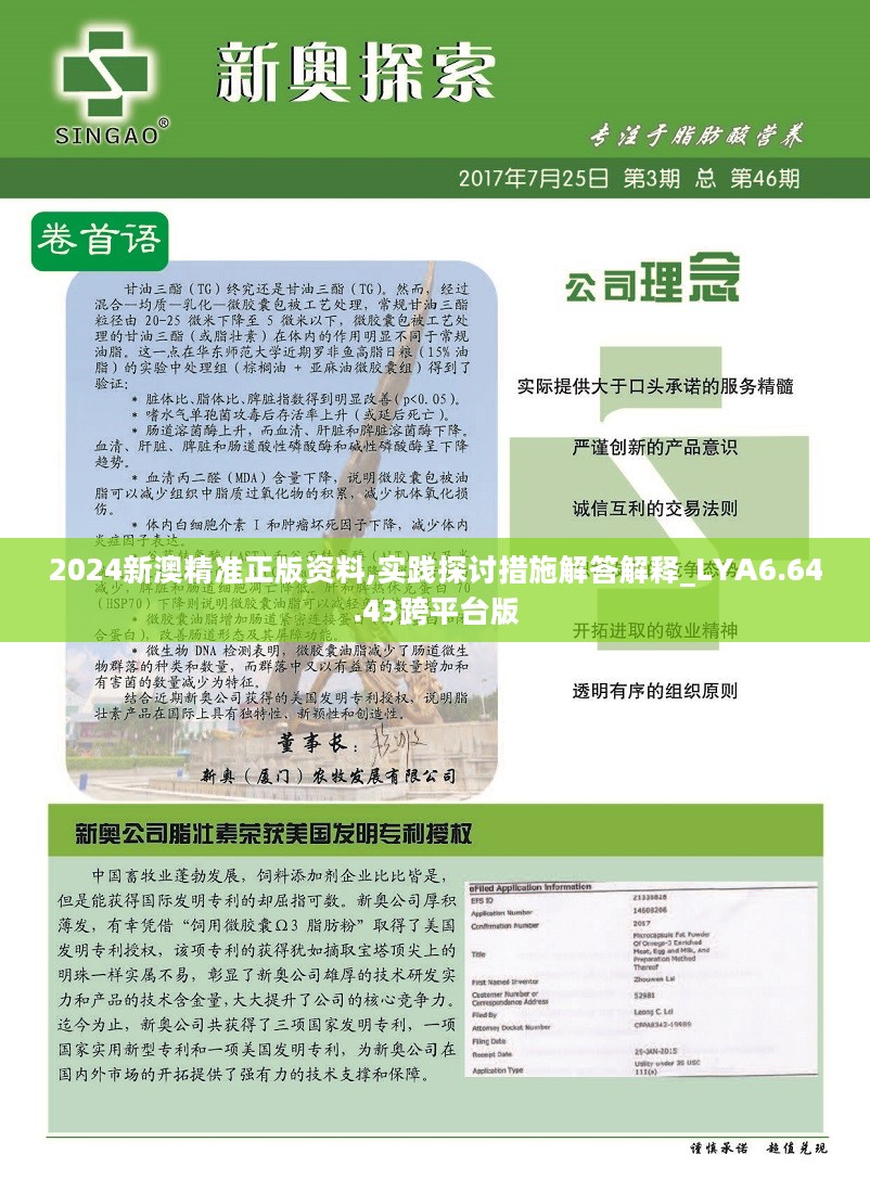新澳2025資料詳解，新澳2025資料全面解析