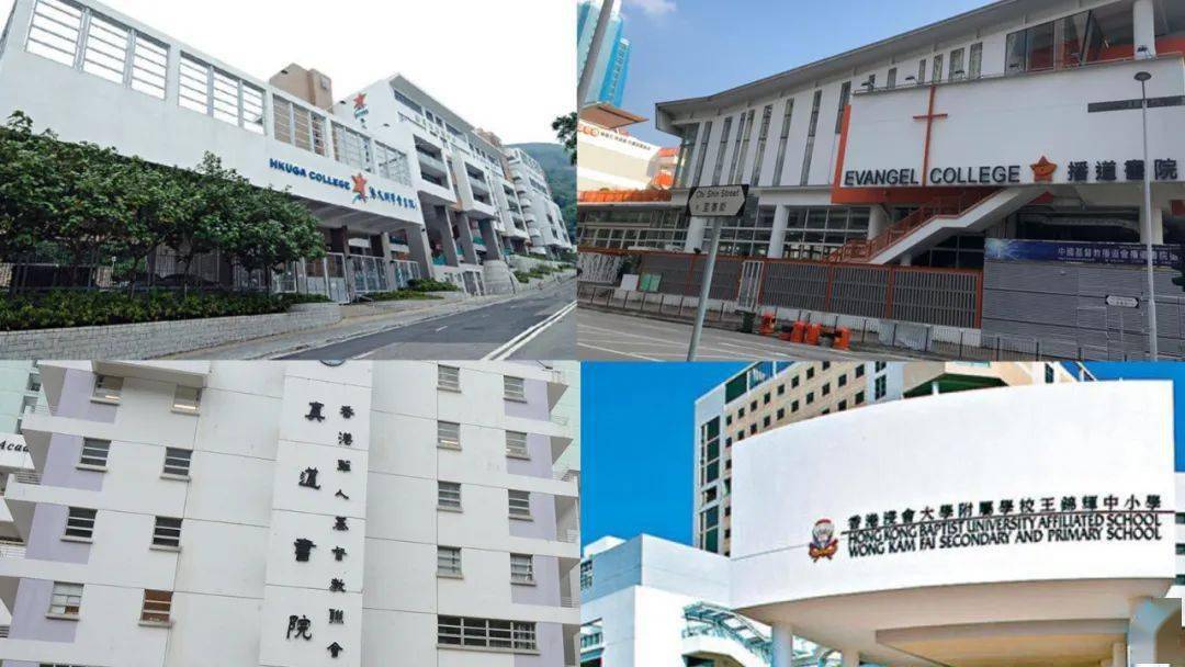香港免費公開資料大全，一網(wǎng)打盡各類資源，香港免費資源大全，一網(wǎng)打盡各類公開資料