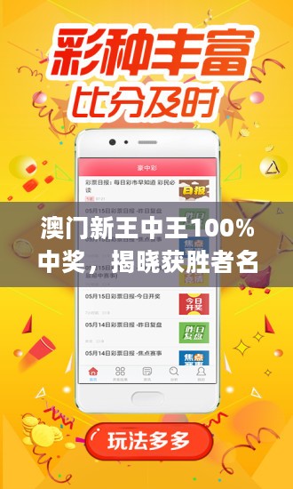 揭秘新澳門王中王，期期中神話的背后，揭秘新澳門王中王期期中神話真相