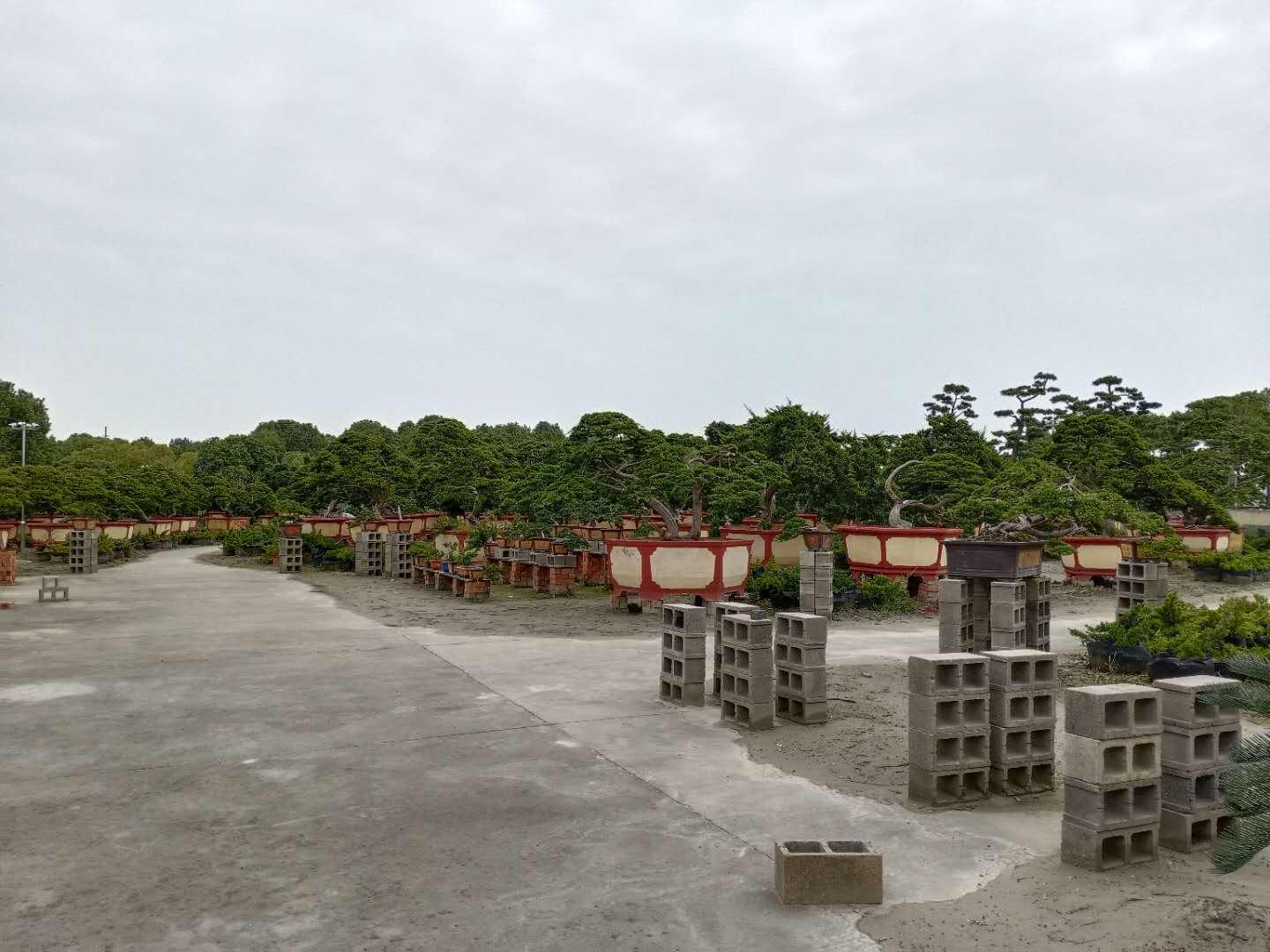 香港澳門旅游全攻略2004（上），香港澳門旅游全攻略2004（上），探索城市魅力的不二指南
