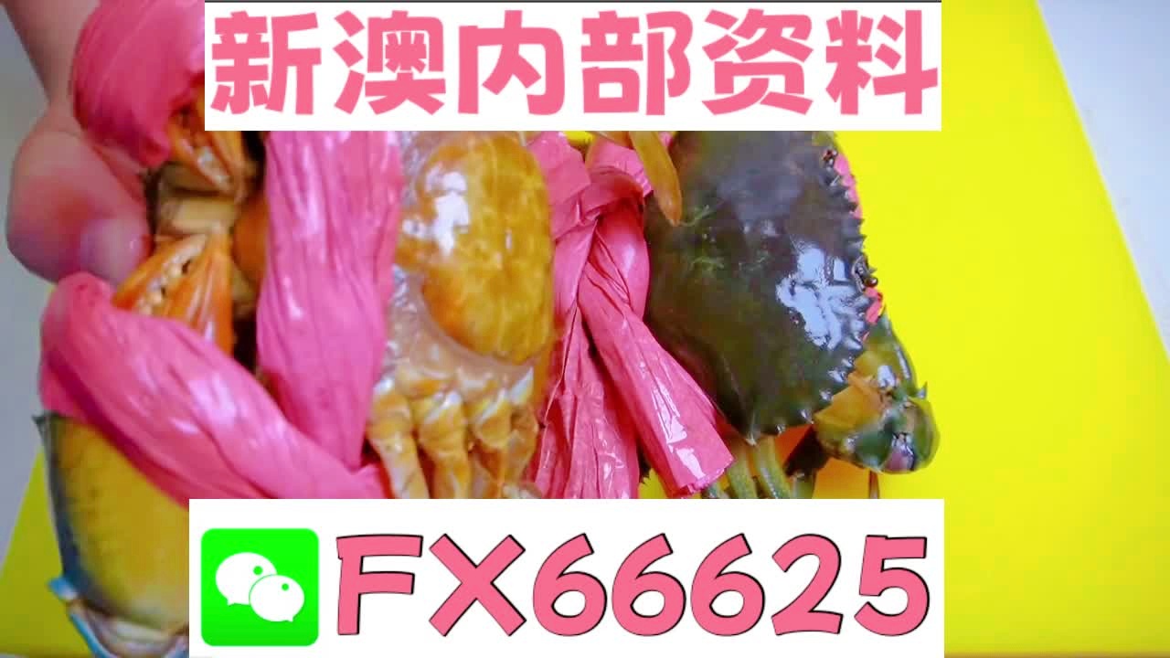 『深度解析』，2025新澳精準(zhǔn)資料大全詳解，深度解析，2025新澳精準(zhǔn)資料大全詳解與指南
