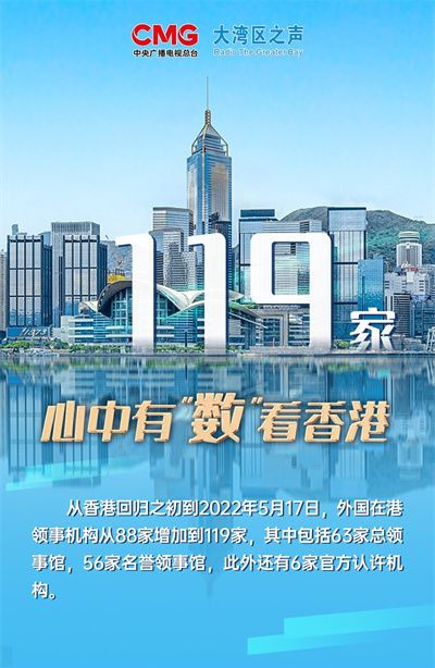 香港資料大全，正版資料下載手機(jī)2025年，香港資料大全2025年正版手機(jī)下載指南