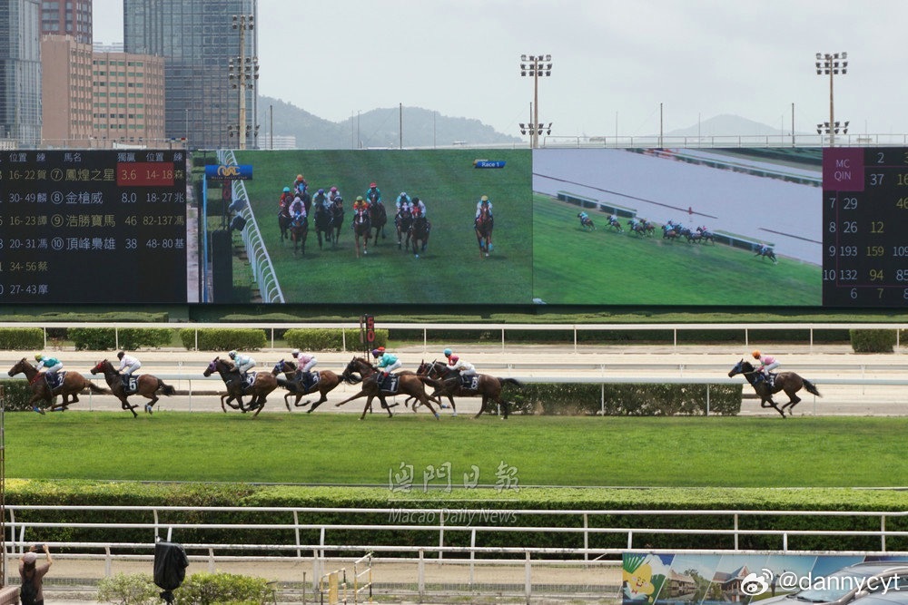 2025新澳門(mén)今晚開(kāi)特馬直播，澳門(mén)特馬直播預(yù)告，揭秘今晚開(kāi)獎(jiǎng)懸念