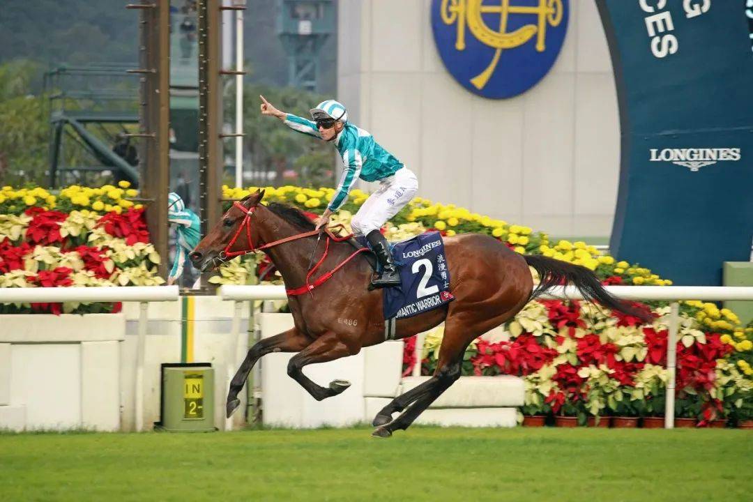 HKJC香港賽馬會(huì)，探索賽馬文化的魅力，HKJC香港賽馬會(huì)，深度探索賽馬文化的獨(dú)特魅力