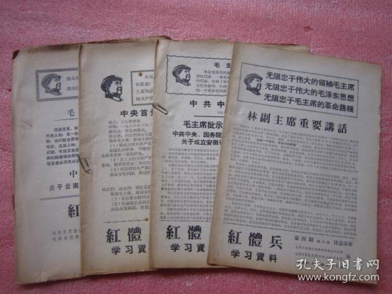 二四六好彩869cc資料，二四六好彩與869cc資料的綜合概述
