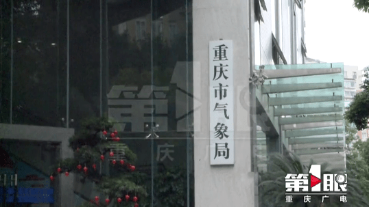 新奧門(mén)最精準(zhǔn)資料大全，新澳門(mén)最精準(zhǔn)資料大全匯總