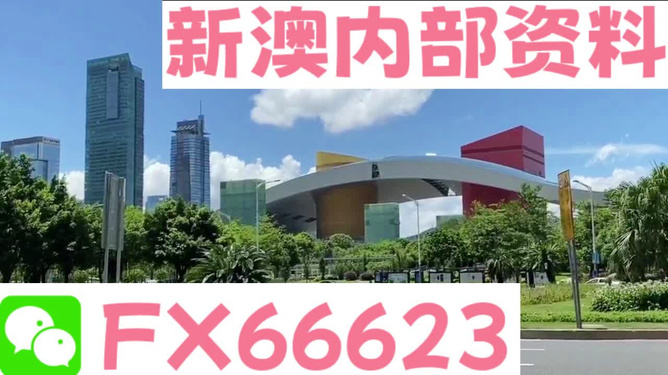 新澳精準(zhǔn)資料，新澳精準(zhǔn)資料概覽