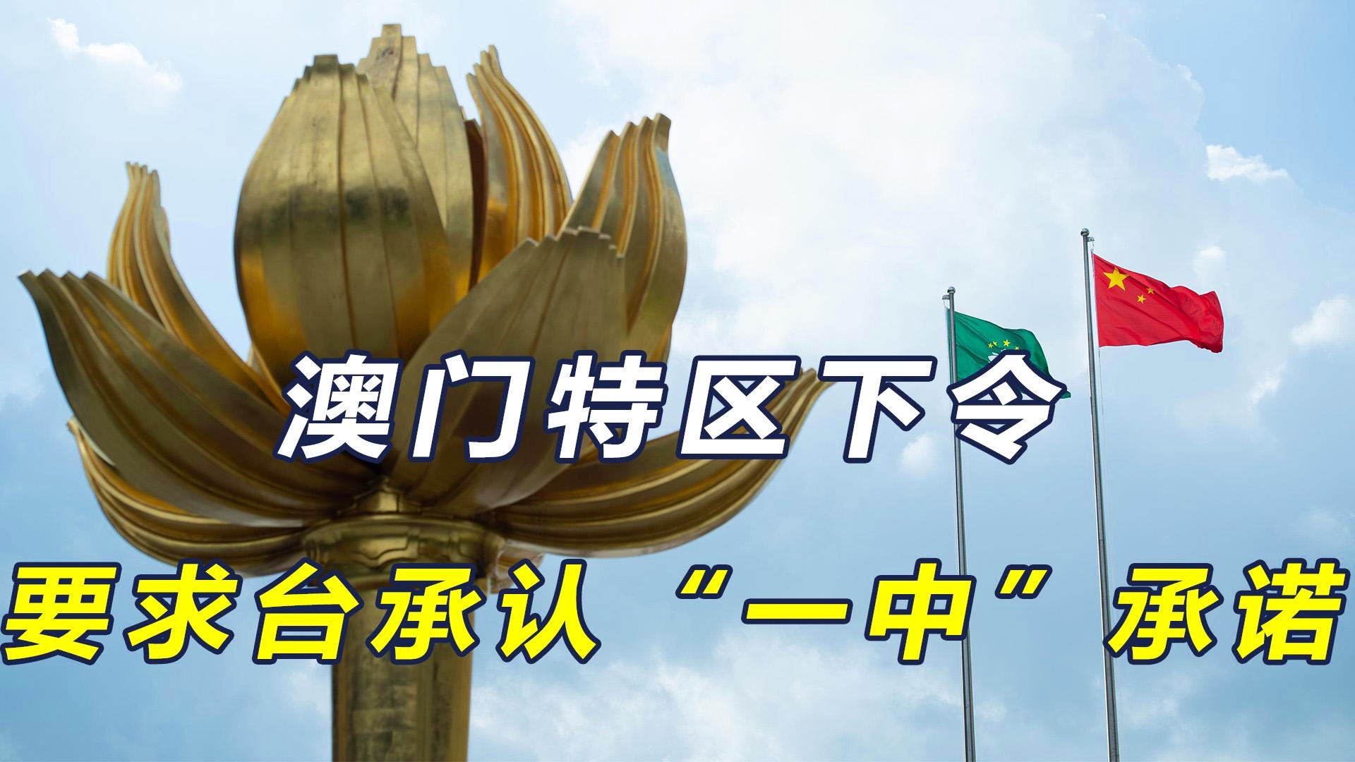 澳門(mén)一碼一肖一特一中管家婆，揭秘神秘面紗下的真相，澳門(mén)神秘管家婆揭秘，一碼一肖一特一中的真相探索