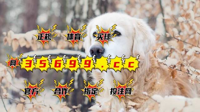 4949澳門彩開獎結果，澳門彩開獎結果揭曉