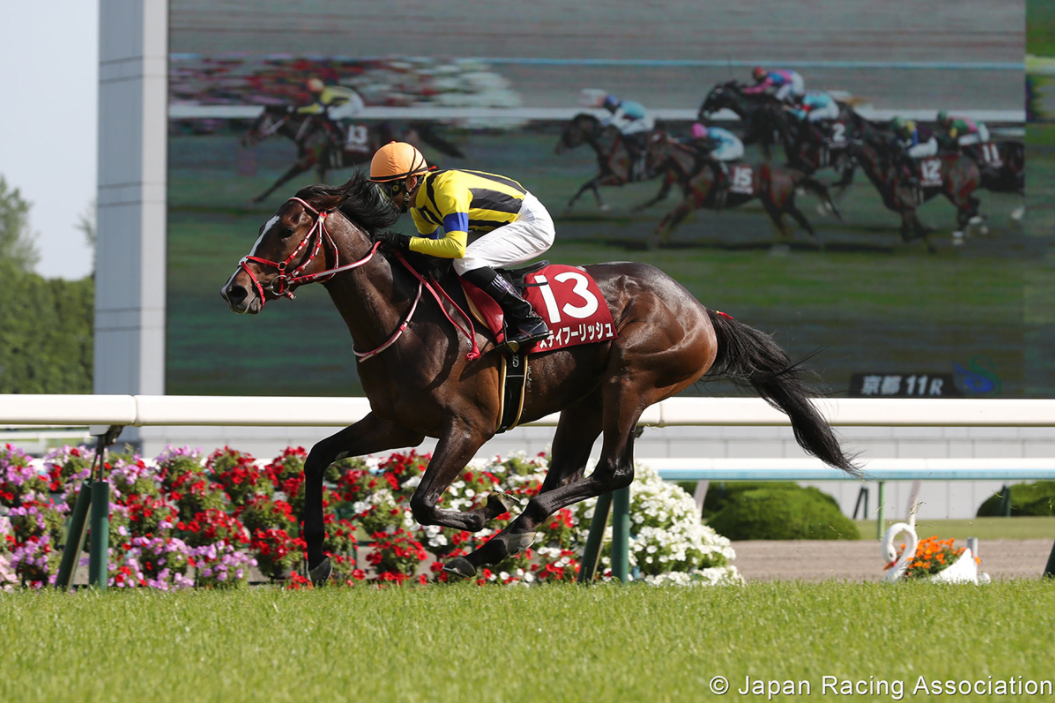 關(guān)于香港賽馬賽事的最新動(dòng)態(tài)，2021年香港賽馬開(kāi)始了嗎？，香港賽馬賽事最新動(dòng)態(tài)，2021年賽馬盛宴啟幕！